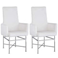 Somette Contemporary Arm Chair with Steel Frame, Set of 2