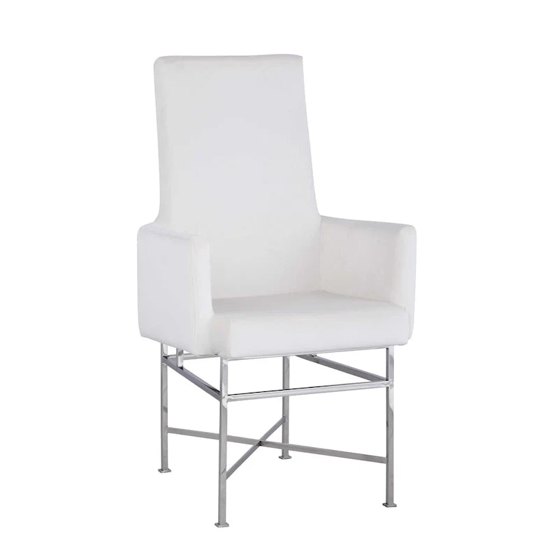 Contemporary Arm Chair with Steel Frame, Set of 2