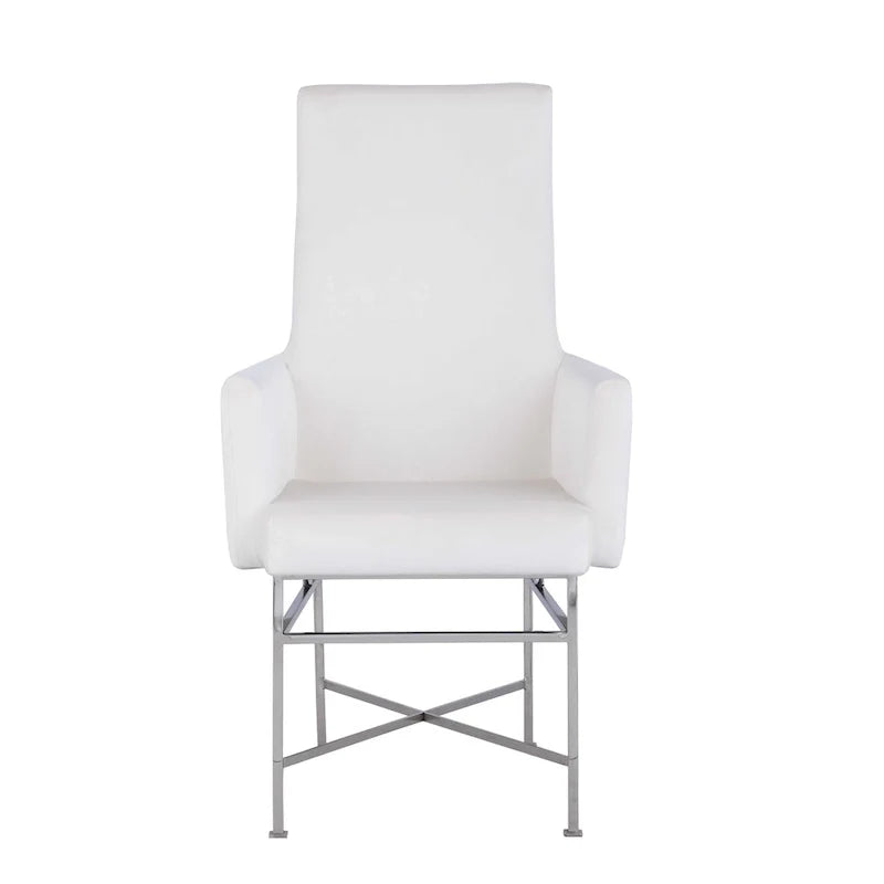 Contemporary Arm Chair with Steel Frame, Set of 2
