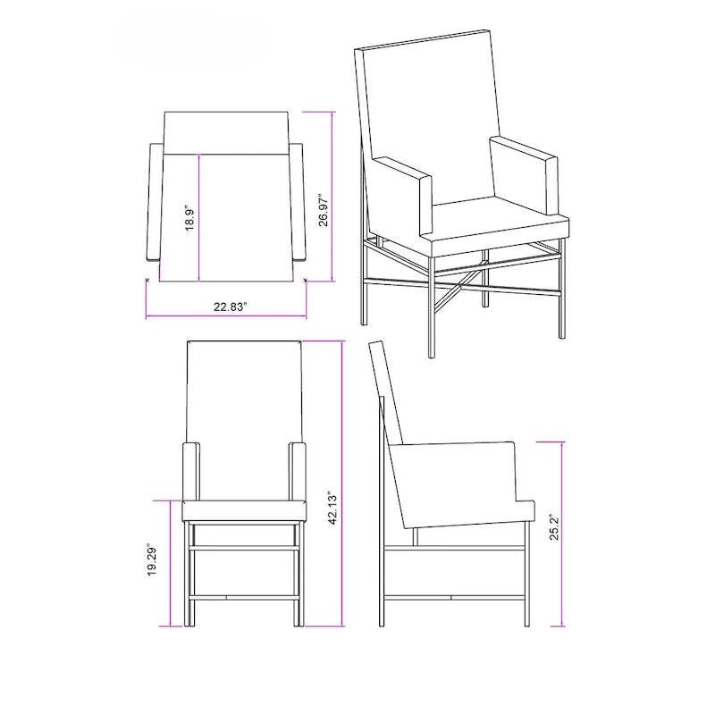 Contemporary Arm Chair with Steel Frame, Set of 2